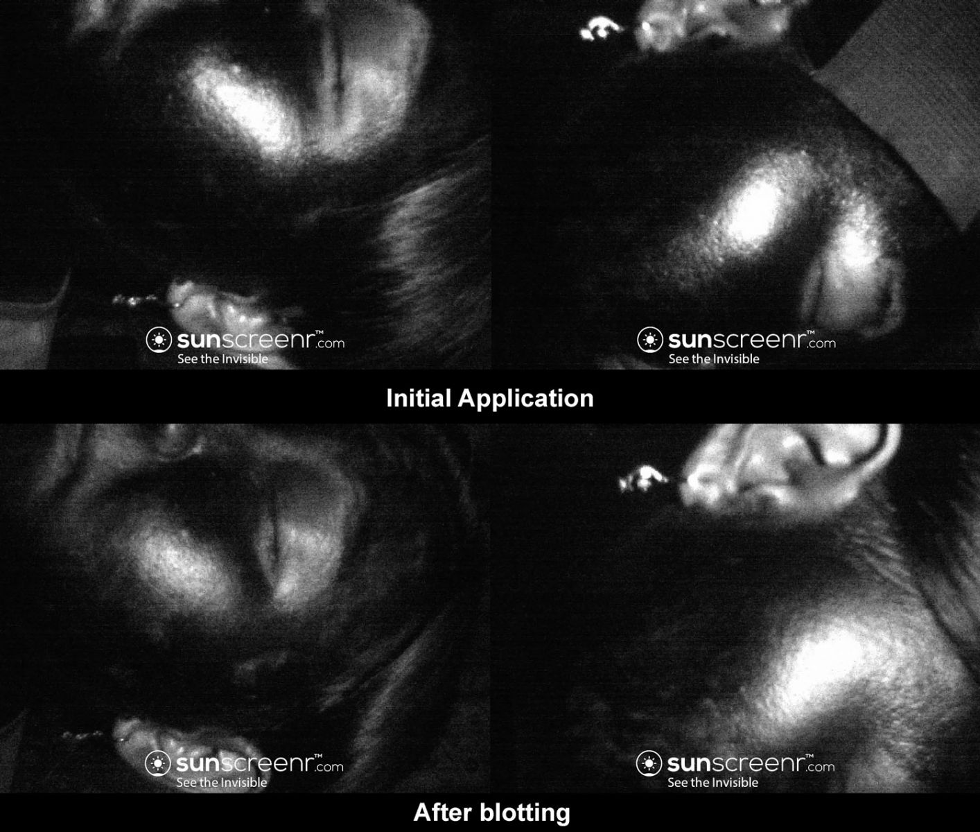 Initial application vs after blotting